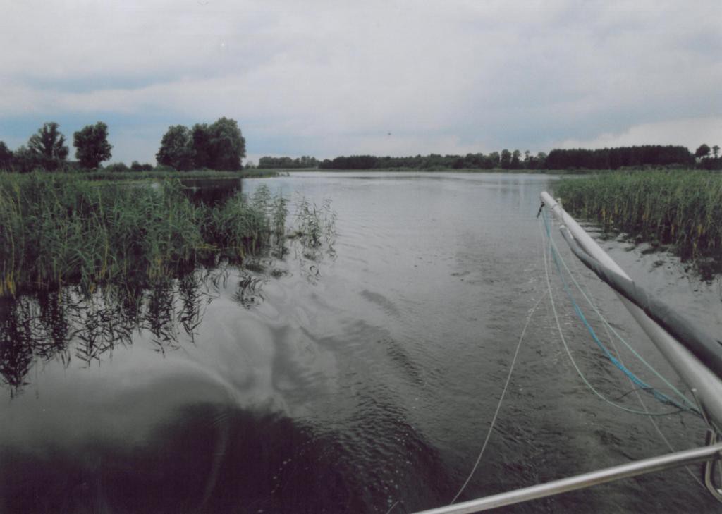 pauzenskie (2)